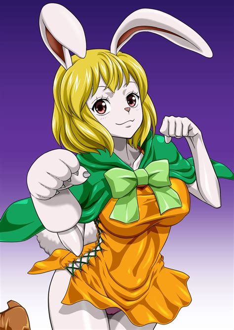 hentai carrot one piece|Character: carrot